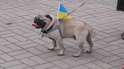 Даже песик за Украину - Mariupol-Ploshad-06.jpg (69.81 Кіб) Переглянуто 7761 раз Даже песик за Украину