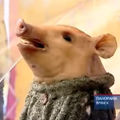 Свинья тушеная и в ватнике???