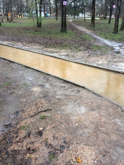 Хроники улучшения жизни в Крыму или Из России с любовью  - Park-Shevchenko (1).jpg