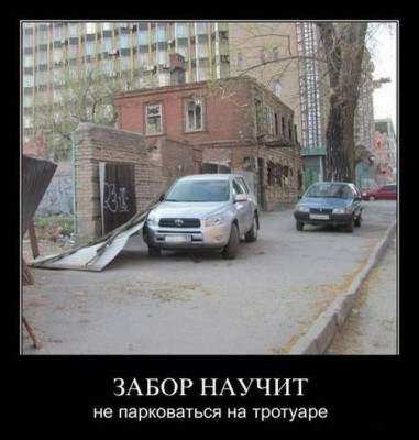 Забор всегда научит!