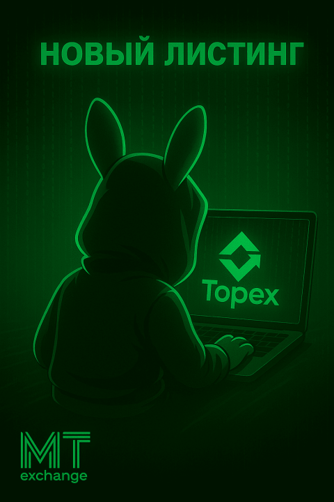  ange - современный обменный пункт криптовалют, множество направлений по хорошим курсам - top-ex.png