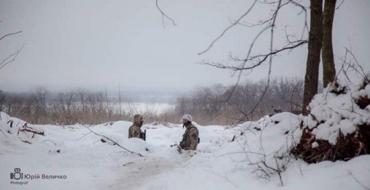 На опушке