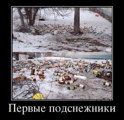 Первые подснежники