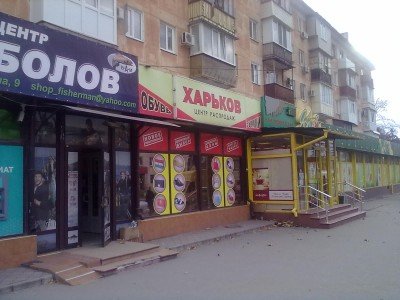 Жук в муравейнике - 21112015133.jpg