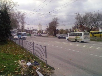 Жук в муравейнике - 21112015138.jpg